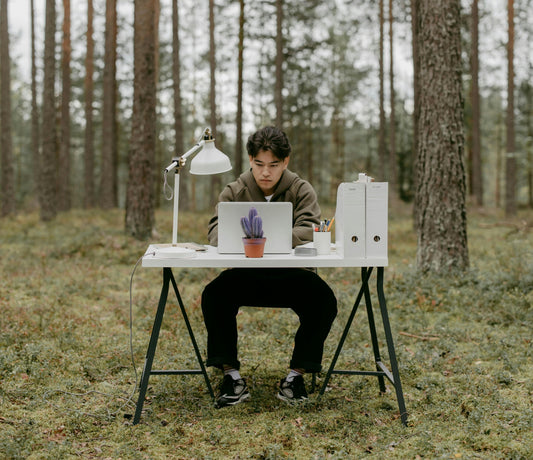 10 Simple Ideas to Elevate Your Home Office Setup for Maximum Productivity and Comfort
