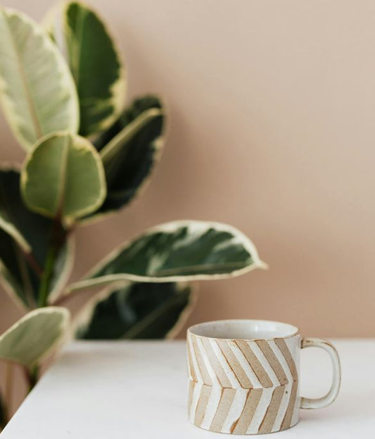 How to Create a Warm Minimalist Living Room on a Budget